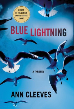 book cover for Blue lightning