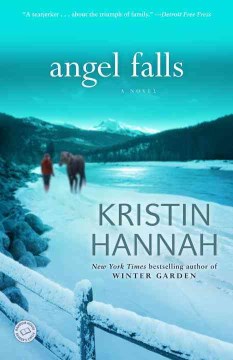 book cover for Angel falls : a novel