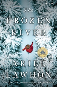 book cover for The frozen river : a novel