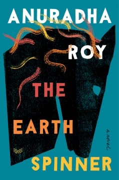 book cover for The earthspinner : a novel