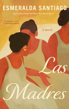 book cover for Las madres : a novel