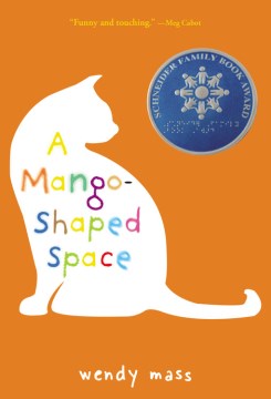 book cover for A mango-shaped space