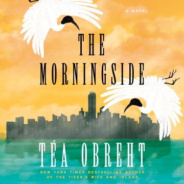 book cover for The Morningside [sound recording]