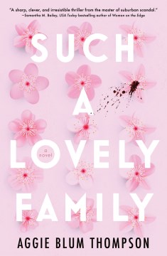 book cover for Such a lovely family
