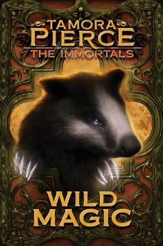 book cover for Wild magic
