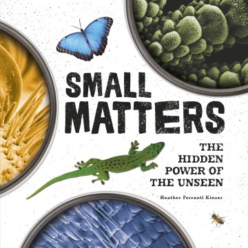 book cover for Small matters : the hidden power of the unseen