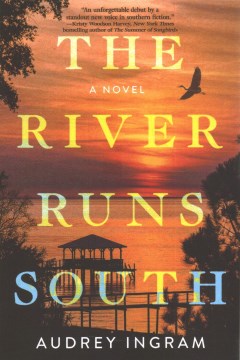 book cover for The river runs south : a novel