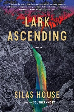 book cover for Lark ascending : a novel